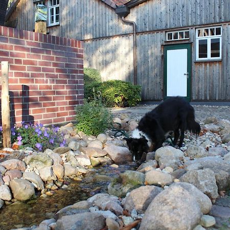 Landgasthof Wildwasser Wolthausen Kültér fotó