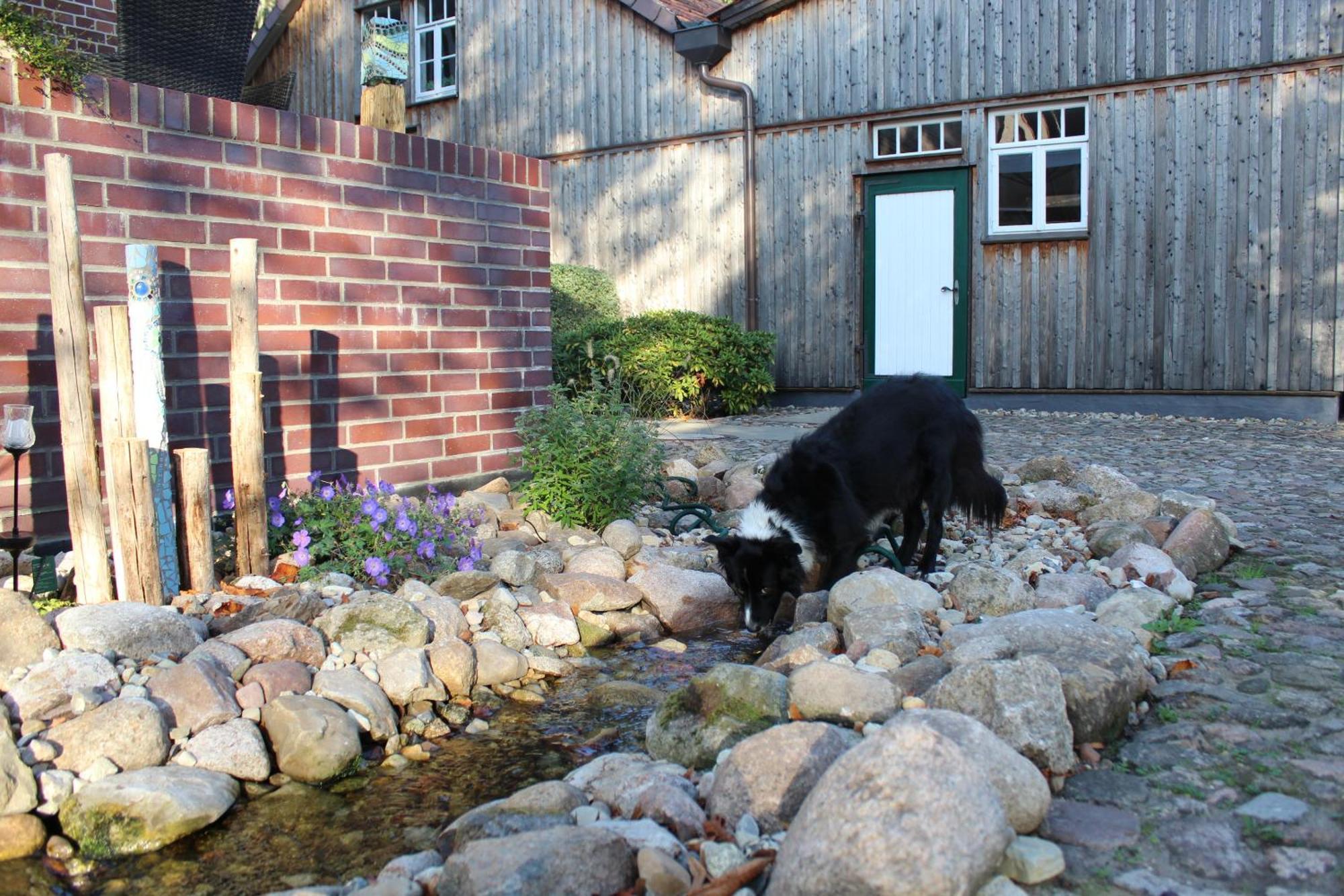 Landgasthof Wildwasser Wolthausen Kültér fotó